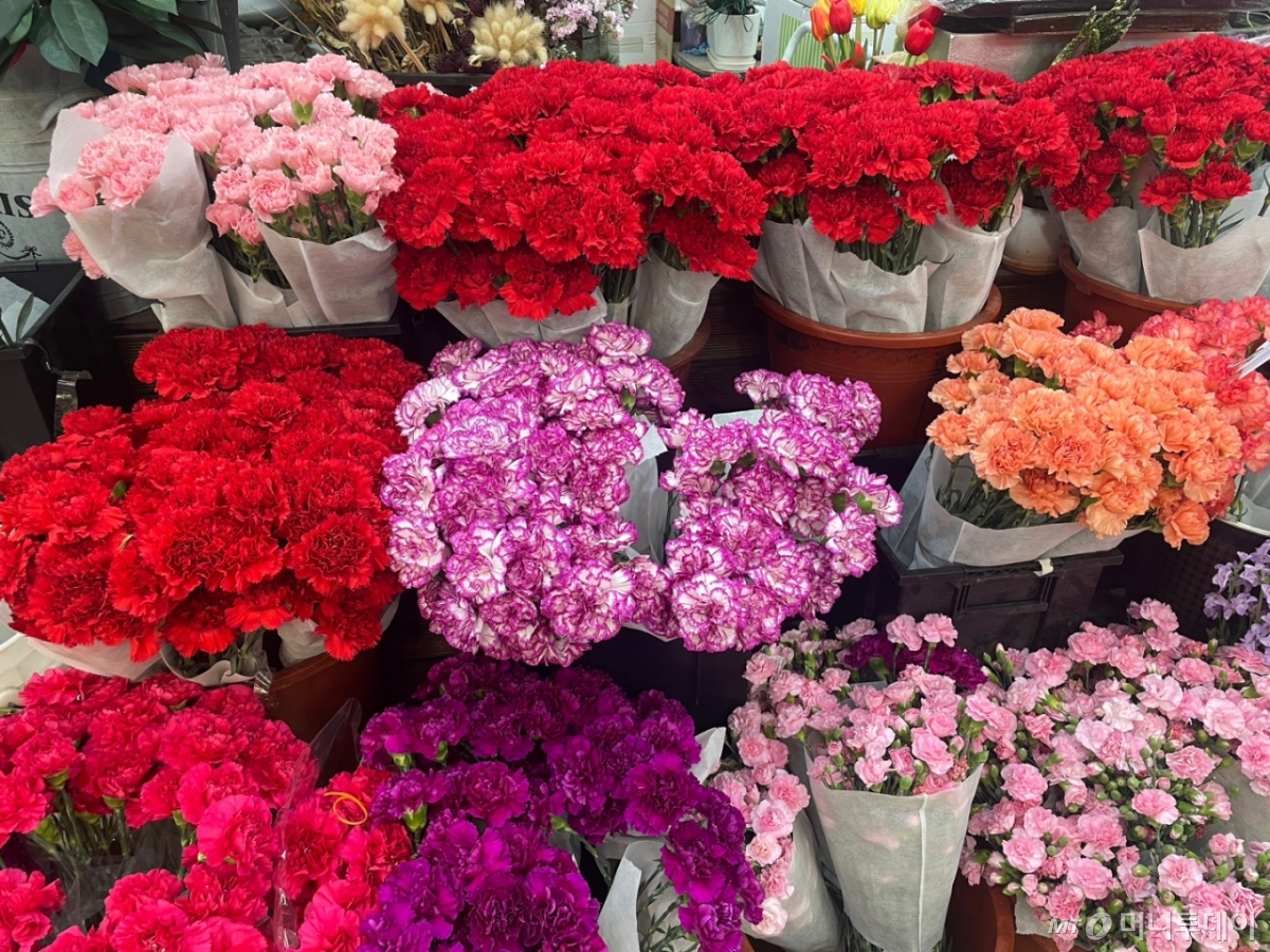 7일 오전 서울 서초구 양재꽃시장에 카네이션이 진열된 모습./사진=이현수 기자. 