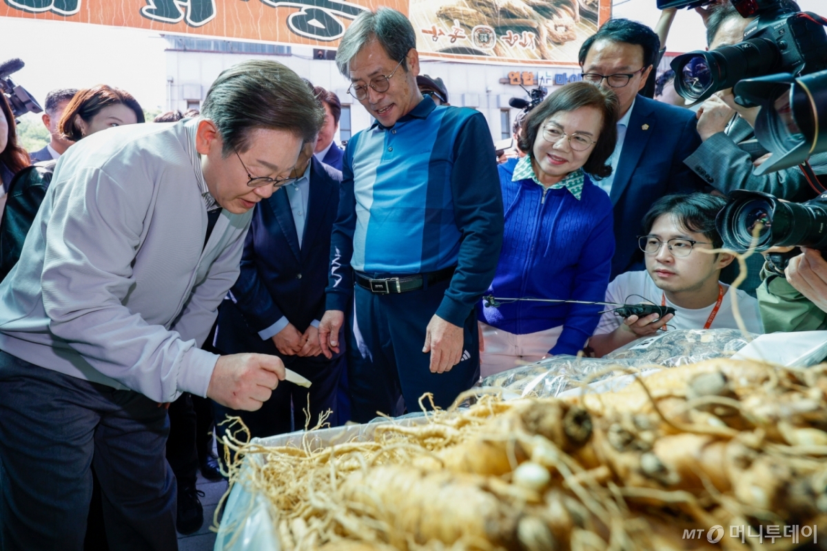 (진안=뉴스1) 안은나 기자 = 이재명 더불어민주당 대통령 후보가 2차 골목골목 경청투어 마지막 날인 7일 오전 전북 진안군 진무로의 인삼사를 찾아 수삼을 맛보고 있다. 2025.5.7/뉴스1  Copyright © 뉴스1. All rights reserved. 무단 전재 및 재배포,  AI학습 이용 금지. /사진=(진안=뉴스1) 안은나 기자