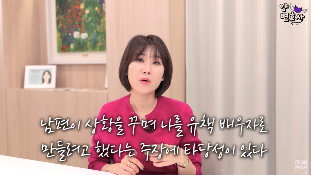 이혼 과정서 유리한 증거를 모으고자 일부러 아내를 도발해 다툼을 키우는 남편 사연이 전해졌다. /사진=유튜브 채널 '양나래 변호사' 캡처