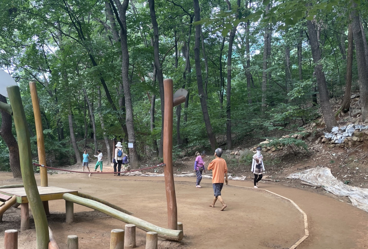 관악산 황톳길 전경./사진제공=과천시