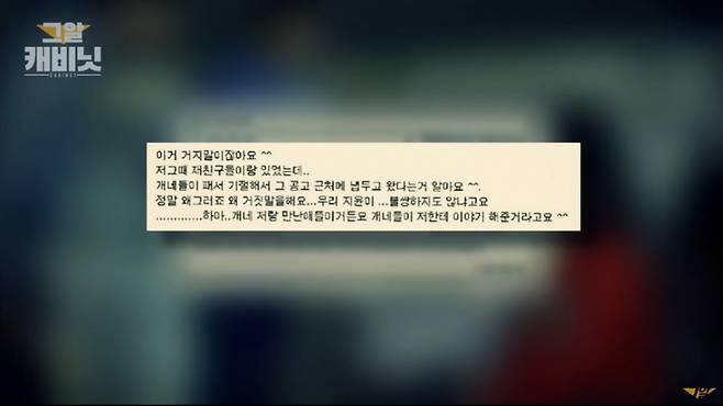 2011년 한 방송에서는 소녀가 사건 며칠 전 온라인 채팅을 통해 알게 된 친구를 집에 초대했다가 귀중품을 절도당한 일이 있었는데, 이 친구가 진범일 가능성을 제기했다. /사진=SBS '그것이 알고 싶다' 캡처