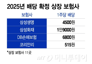 2025년 배당 확정 상장 보험사/그래픽=이지혜