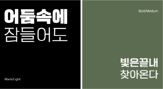 사진제공=폰트릭스