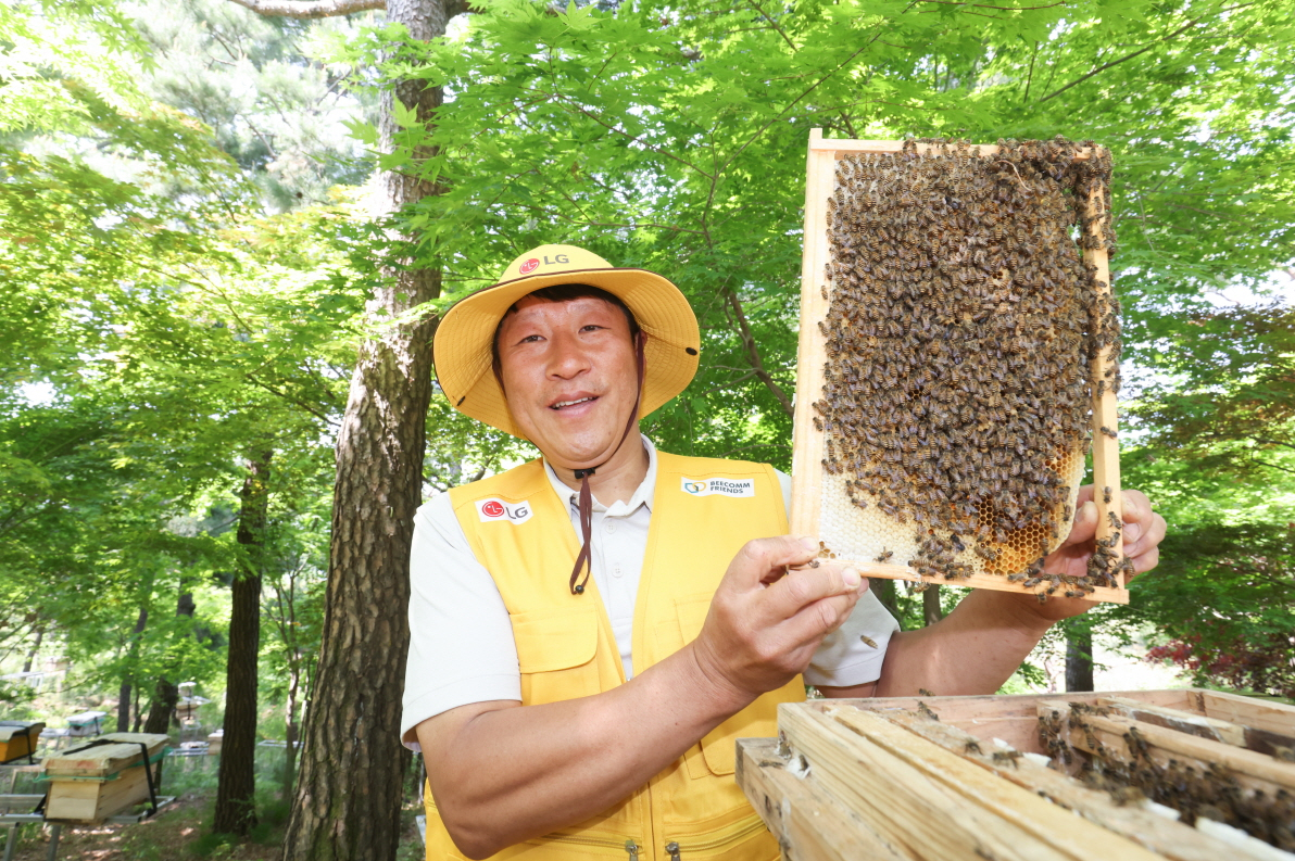 LG가 조성한 토종 꿀벌 서식지에서 김대립 명인이 꿀벌통을 들어 보이고 있다./사진=LG
