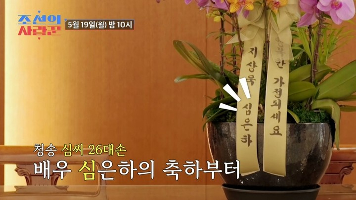 청송 심씨인 배우 심은하가 19일 방송되는 TV조선 예능 '조선의 사랑꾼'에서 코미디언 심현섭에게 육성으로 결혼 축하 인사를 전한다. /사진=TV조선 예능 '조선의 사랑꾼' 