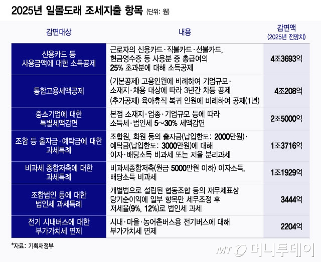 2025년 일몰도래 조세지출 항목/그래픽=윤선정