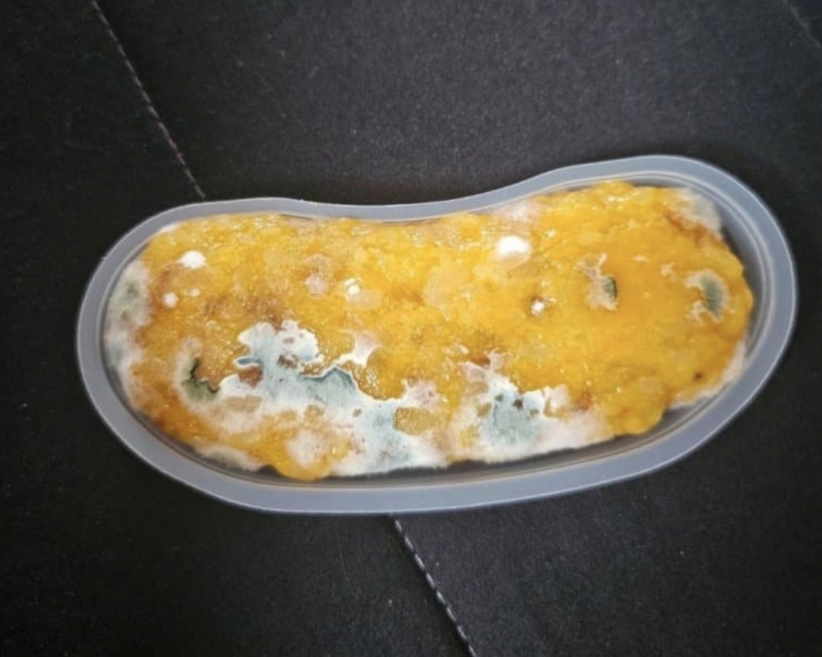 더본코리아가 운영하는 저가 커피 브랜드 빽다방에서 판매하는 가바밥알떡 제품에서 곰팡이가 나왔다는 주장이 제기됐다. /사진=온라인 커뮤니티 갈무리