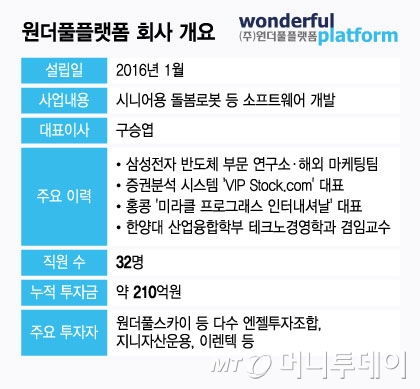 원더풀플랫폼 회사 개요/그래픽=윤선정