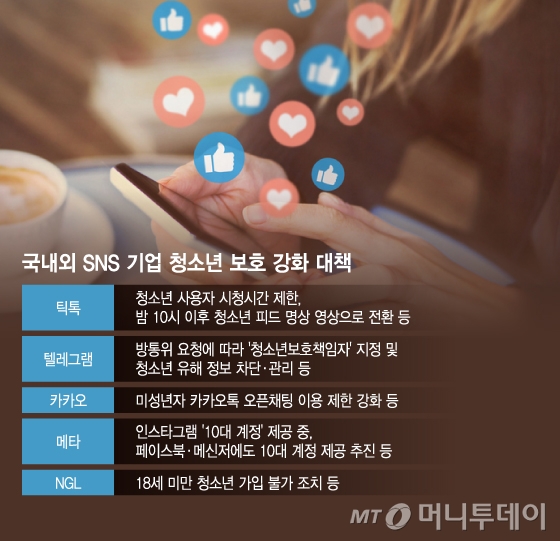 국내외 SNS 기업 청소년 보호 강화 대책./그래픽=이지혜 디자인기자.
