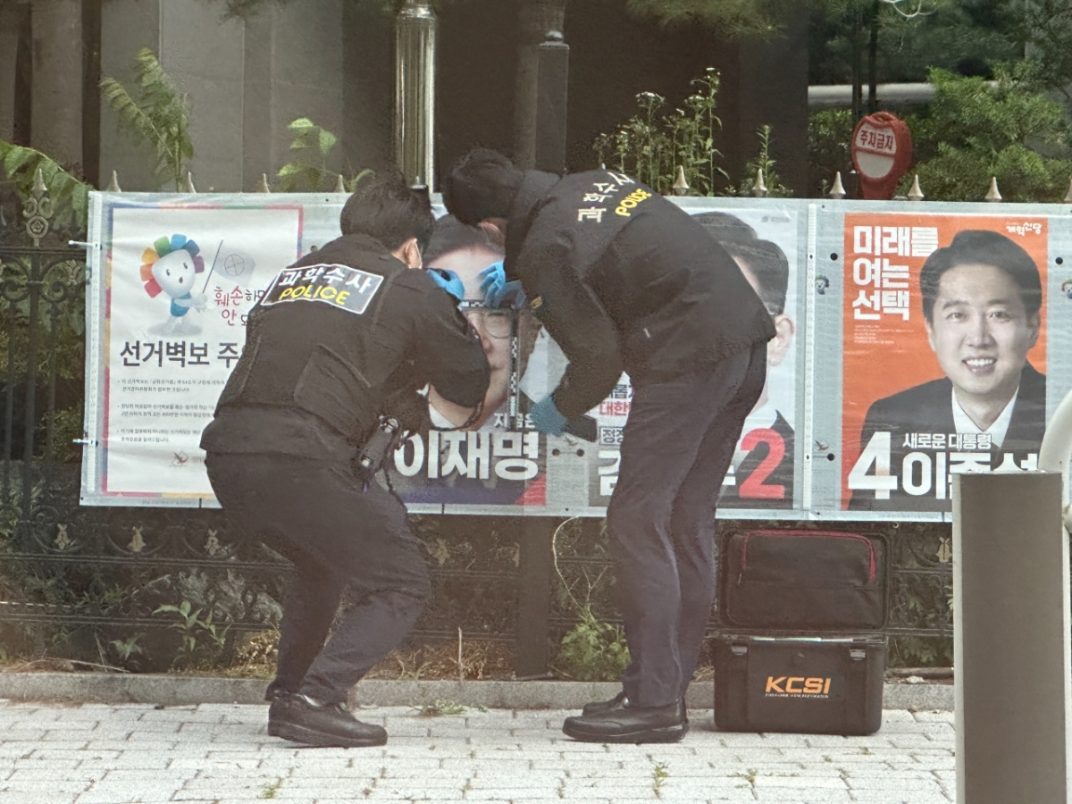 /사진=독자제공.