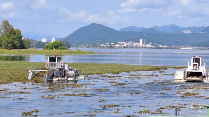 유해수초 제거작업 모습./사진제공=경기도