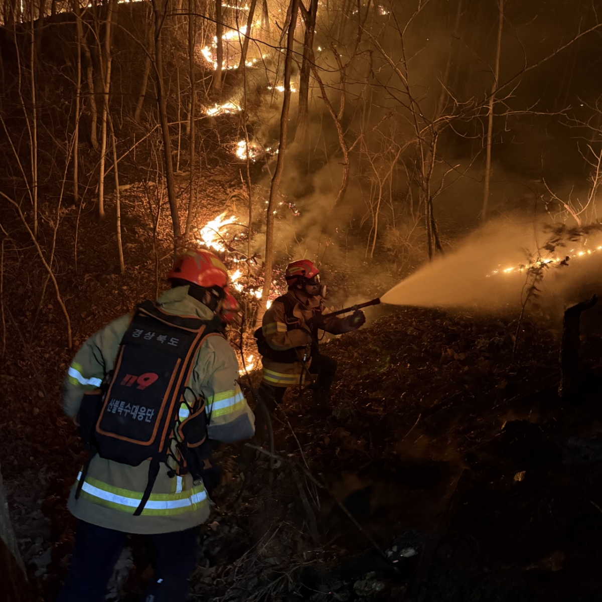 경북도 소방본부 산불특수대응단이 산불 현장에서 진압 활동을 펼치고 있다./사진제공=경북도