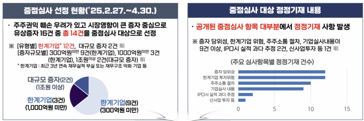 유상증자 중점심사 선정 현황과 정정기재 내용 /사진=금감원