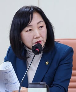 ▲이영실 서울시의회 의원/사진제공=서울시의회