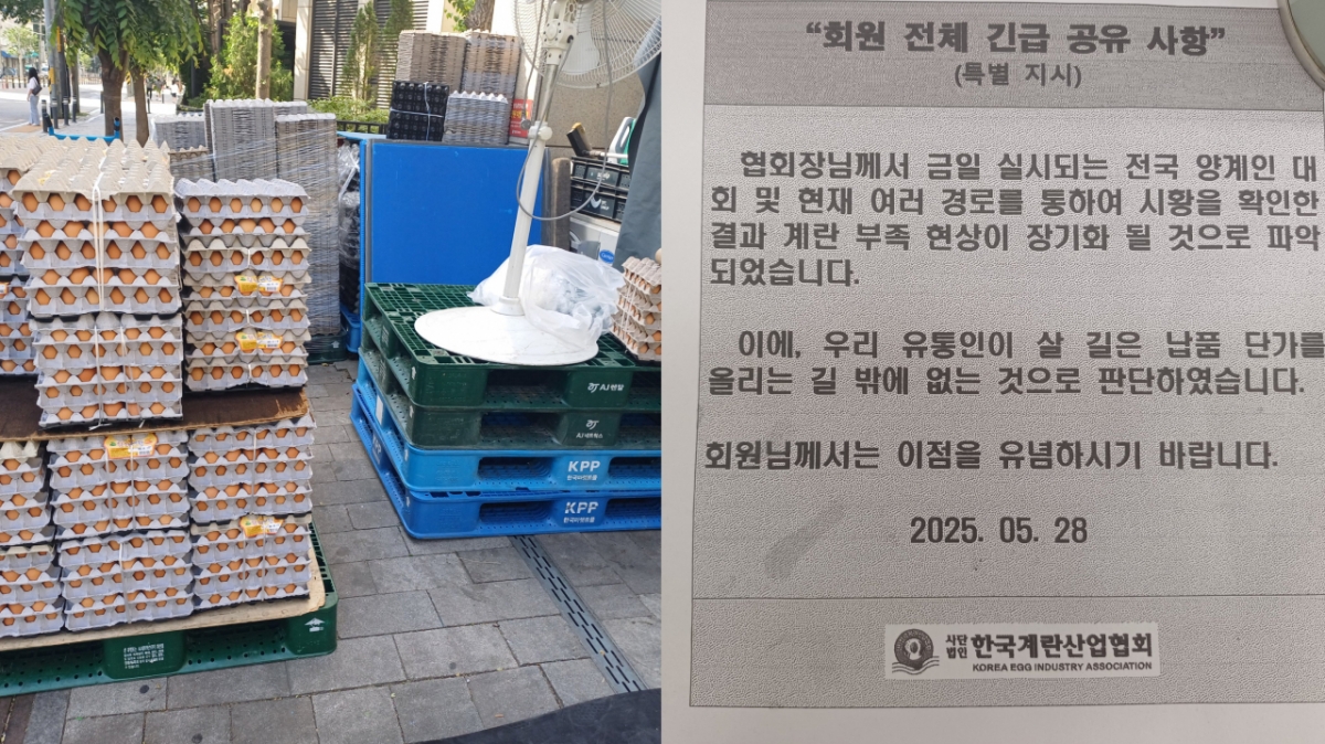 5일 오전 서울 영등포구의 또 다른 계란 도매업장. 계란 수급이 정상적으로 되는 방법을 묻자 업자는 "웃돈을 주고 사야 한다"고 밝혔다. /사진=오석진 기자