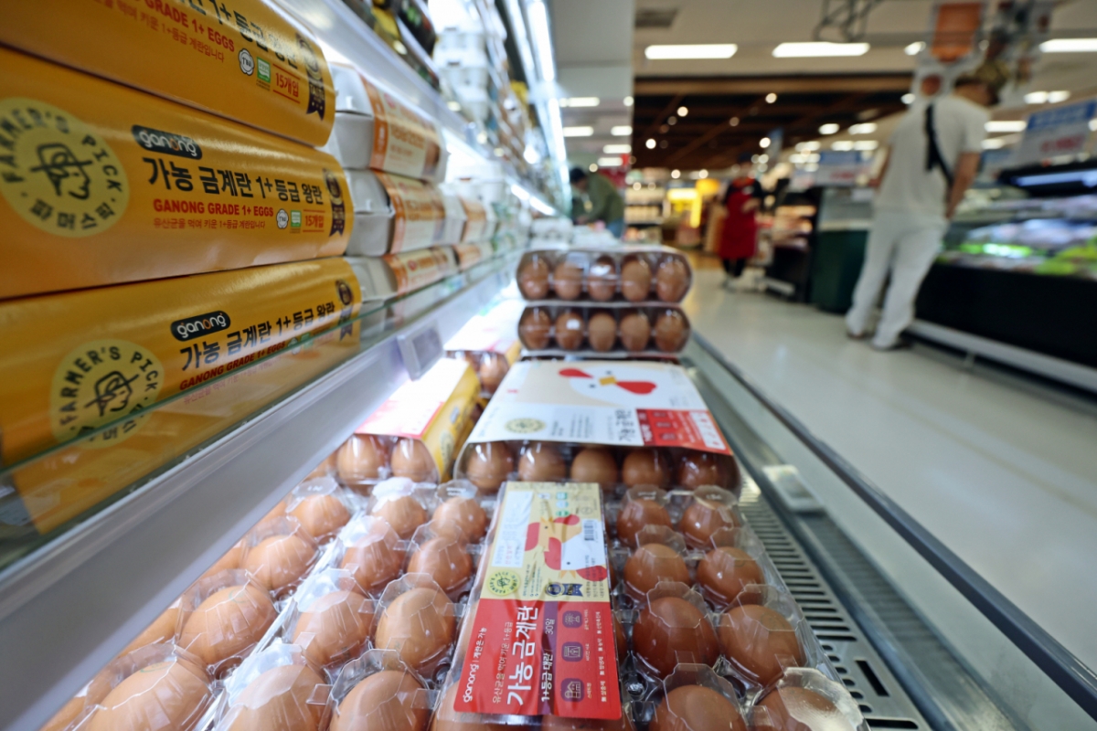 지난 3일 서울시내 한 대형마트에 계란이 진열돼 있다. /사진=뉴스1.