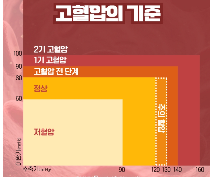 혈압 측정치에 따른 분류. /자료=분당서울대병원