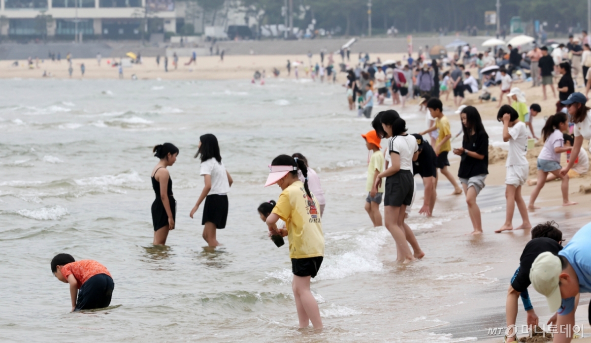 지난 8일 부산 해운대구 해운대해수욕장을 찾은 시민과 관광객들이 물놀이를 즐기고 있다./사진=뉴시스.