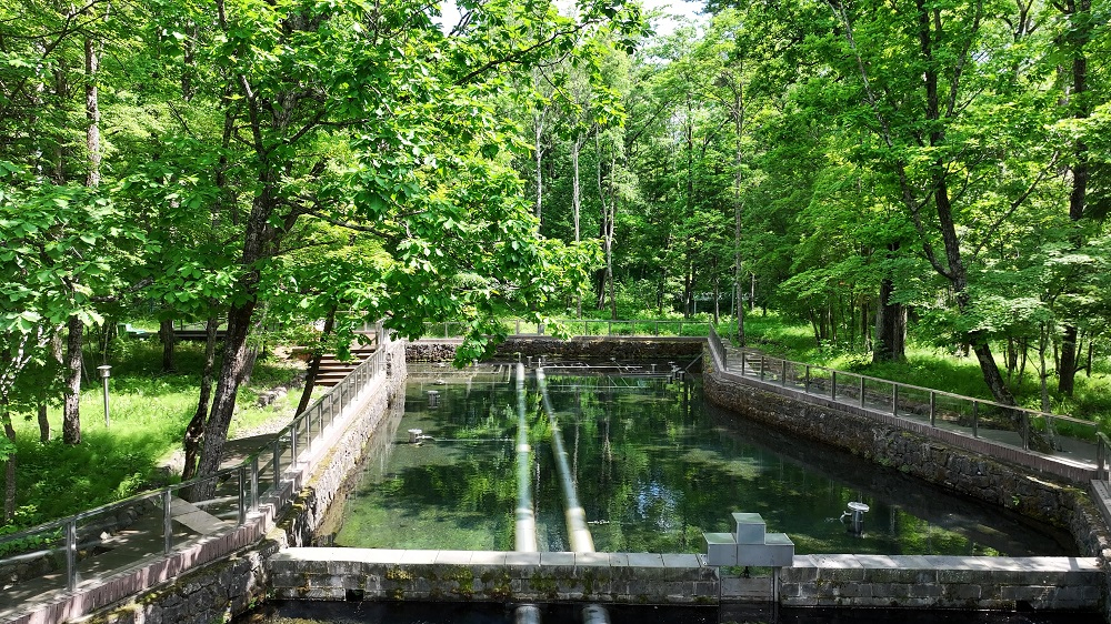백산수 수원지 내두천 모습/사진=농심