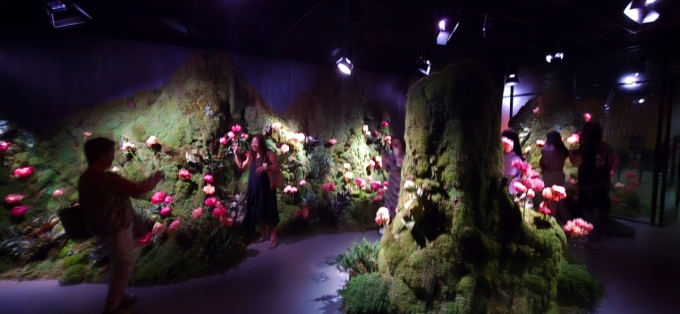 지난 28일(현지시간) 뉴욕 맨해튼의 제네시스하우스에서 관람객들이 '한국의 숲: 더 포레스트 위딘' 전시를 관람하고 있다. /사진=심재현 특파원