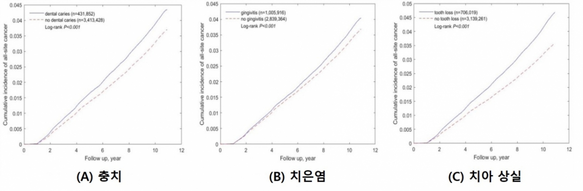 구강질환 종류별 구강질환이 있는 사람(실선)과 없는 사람(점선)의 전체 암 누적 발생률. /그래프=서울대병원·서울시보라매병