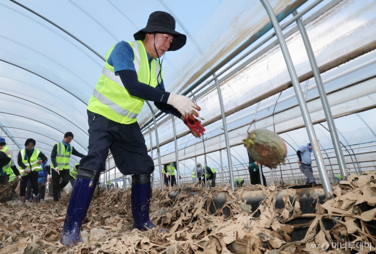 (예산=뉴스1) 김기태 기자 = 정청래 더불어민주당 당대표 후보가 21일 충남 예산 신안면 조곡리에서 수해복구를 하고 있다.  2025.7.21/뉴스1  Copyright © 뉴스1. All rights reserved. 무단 전재 및 재배포,  AI학습 이용 금지. /사진=(예산=뉴스1) 김기태 기자