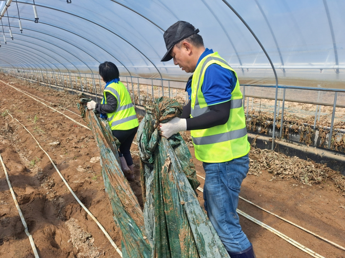 김병기 더불어민주당 당대표 직무대행 겸 원내대표가 21일 충남 예산군의 한 비닐하우스에서 수해 복구 작업을 하는 모습. /사진=김지은 기자