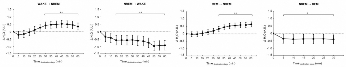 무선 근적외선 분광기로 5분마다 측정한 뇌 수분량 변화. 비렘수면, 특히 깊은 수면 단계로 진입할수록 뇌 수분량이 뚜렷하게 증가하며, 아교임파계에 의한 뇌 세척 활동이 활발해지고, 반대로 렘수면이나 각성 상태에서는 뇌 수분량이 감소해 청소 기능이 떨어졌다. /그림=연구팀