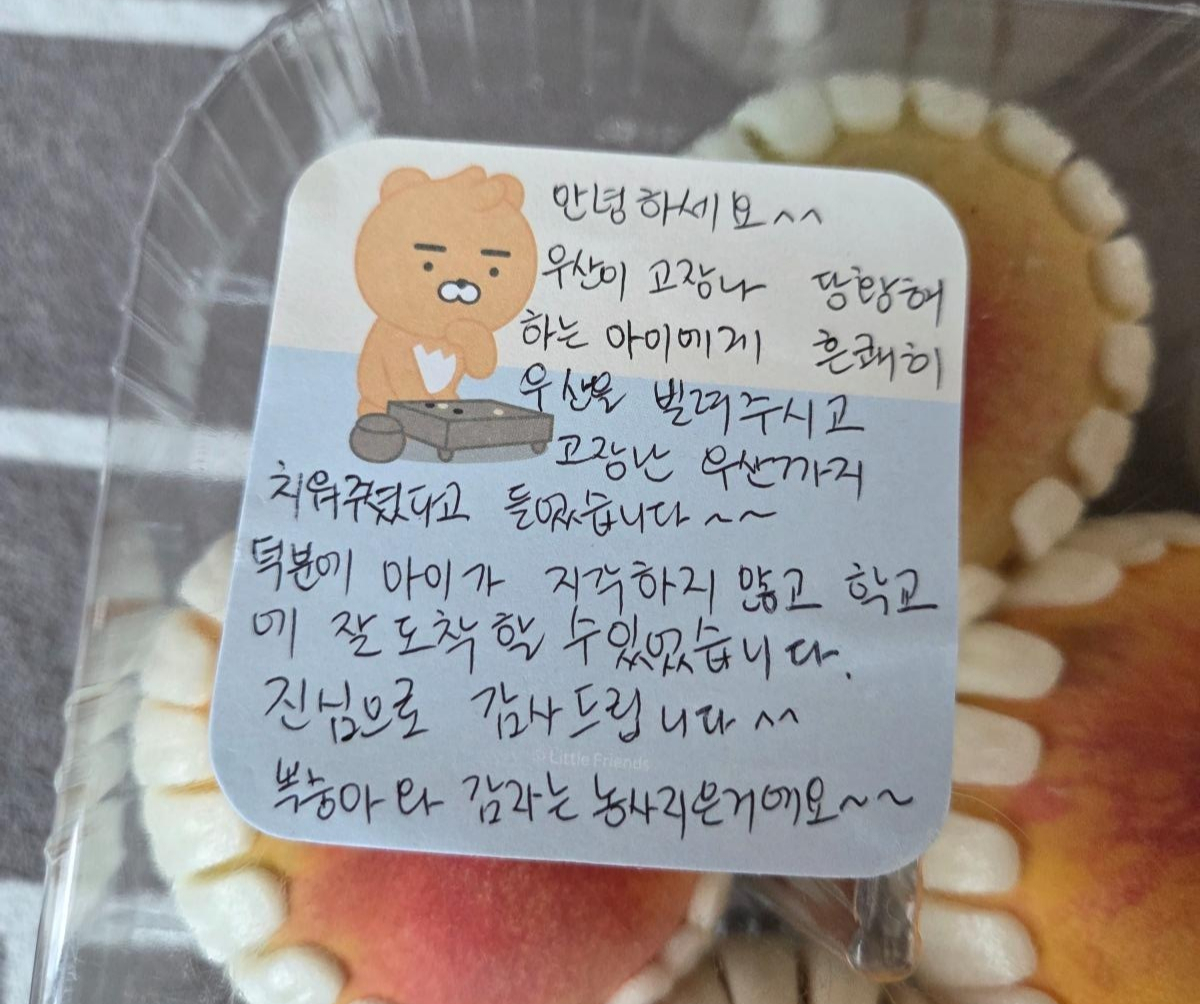 우산이 고장 난 여고생에게 우산을 빌려줬다가 감사 선물을 받았다는 사연이 온라인에 전해졌다. /사진=온라인 커뮤니티 '보배드림' 갈무리 