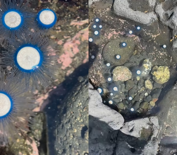 /사진=인스타그램 캡처