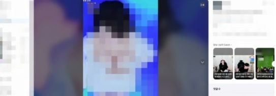숲tv3/그래픽=이지혜