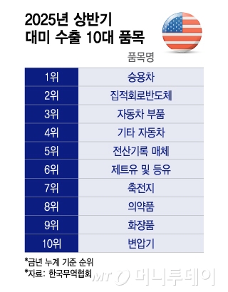 2025년 상반기 대미 수출 10대 품목/그래픽=이지혜
