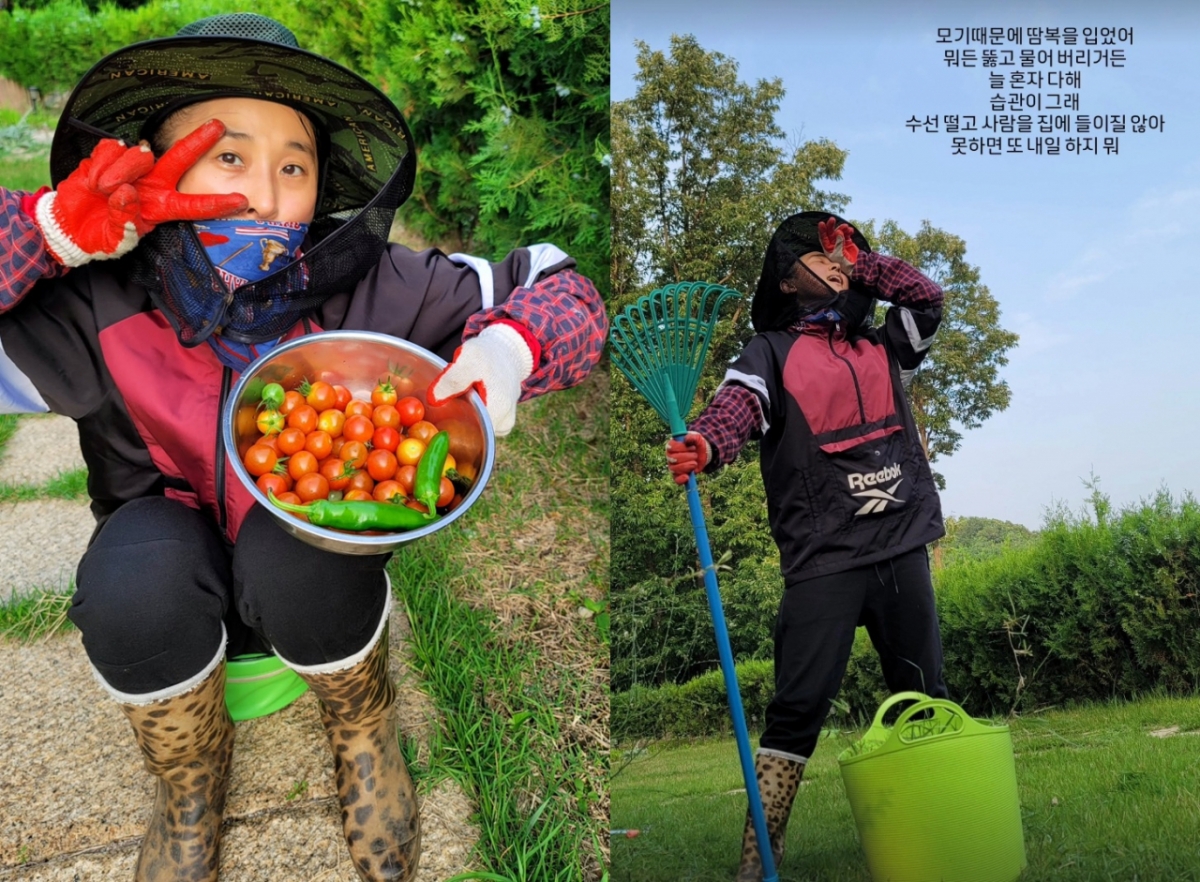 마야가 방송 생활을 접고 귀농 생활을 이어오고 있다. /사진=인스타그램 갈무리
