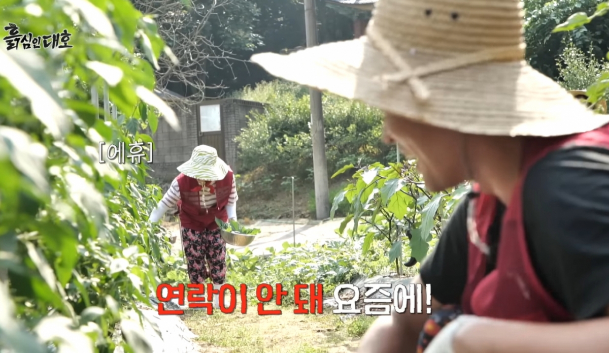 김대호가 이상형으로 꼽았던 하지원과 최근 연락이 닿지 않는다고 털어놨다. /사진=유튜브 갈무리