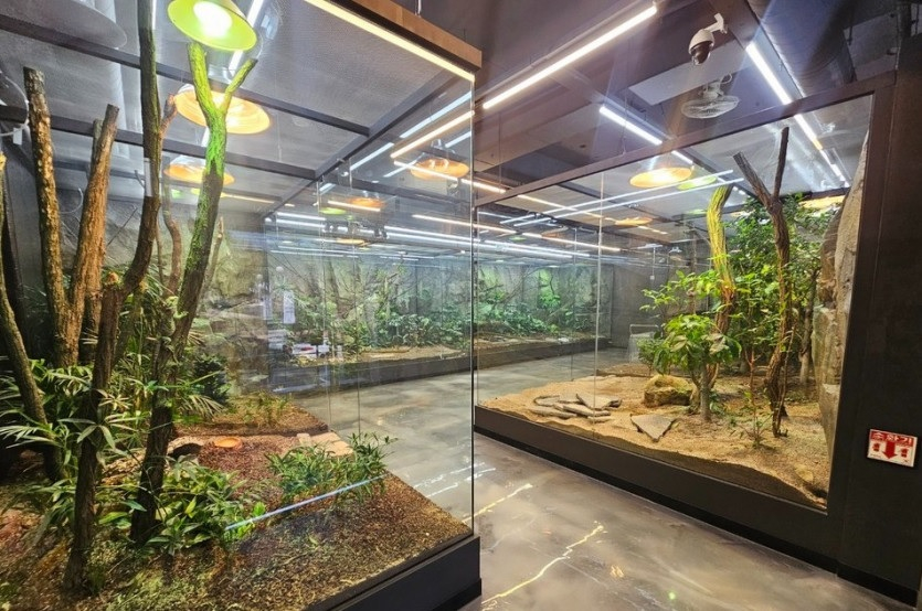 대경대 산학협력단이 운영하는 학교기업 '드리밍쥬' 내부 전경./사진제공=대경대