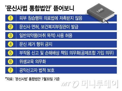 '문신사법 통합법안' 뜯어보니/그래픽=이지혜