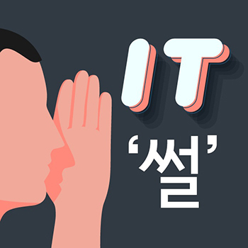 IT썰 시각물 /사진=이정현