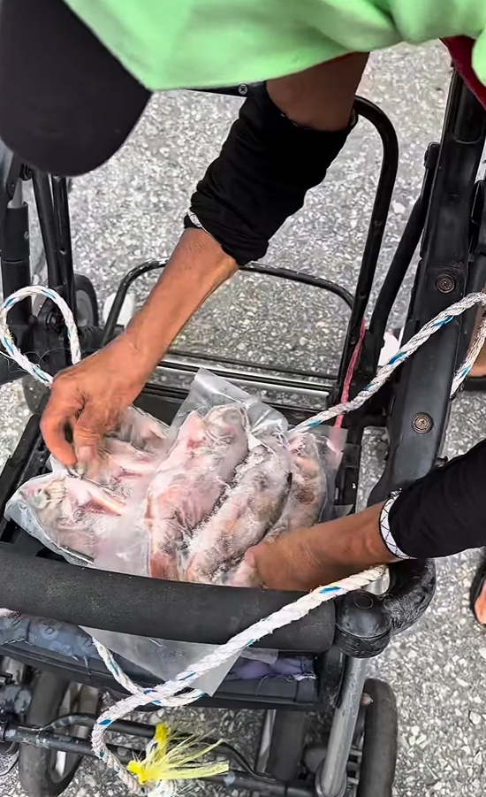 김씨가 자신이 판매하는 생선을 할머니에게 드렸다/사진=인스타그램