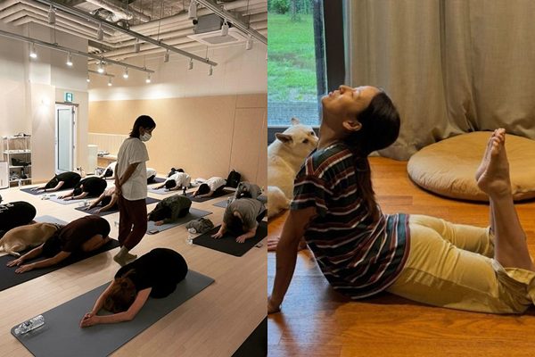 / 사진=정재형, 이효리 인스타그램