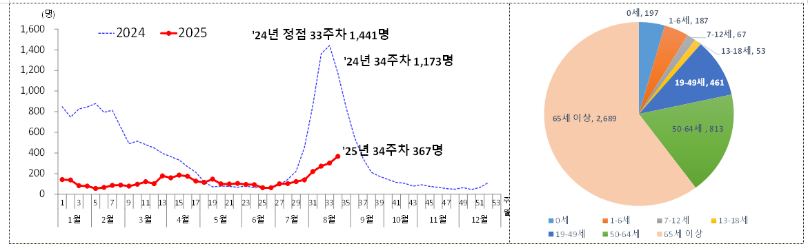 병원급 의료기관 코로나19 입원환자 수(왼쪽 사진, 2024년~2025년 34주까지)와  올해 입원 환자 연령별 현황./사진=질병관리청