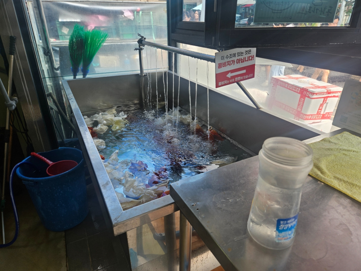 2일 정오쯤 강릉의 한 초당순두부집 모습. 판매용 순두부를 관리하기 위해 물을 틀어놨다./사진=박상혁 기자.