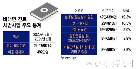 비대면 진료 시범사업 주요 통계/그래픽=이지혜