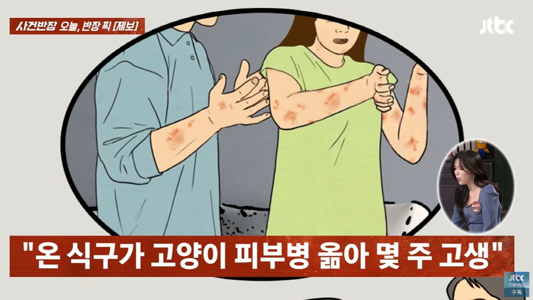 반려묘 비용으로 매달 수십만원을 쓰는 딸 때문에 고민이라는 50대 여성의 사연이 전해졌다. /사진=JTBC '사건반장' 캡처 