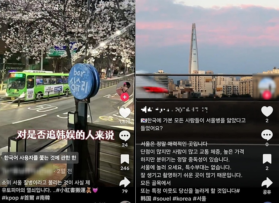 중국인들이 SNS에 서울 여행을 다녀온 뒤 '서울병' 해시태그와 함께 남긴 게시물./사진=틱톡