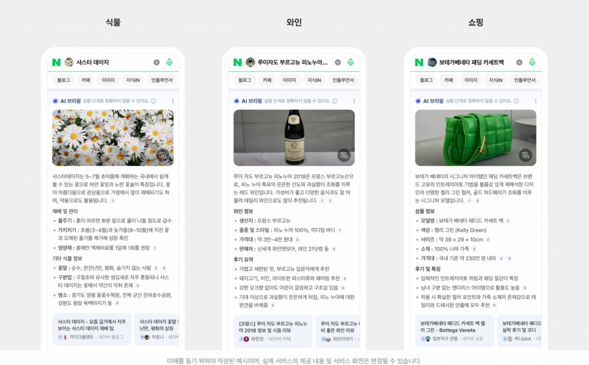 네이버 스마트렌즈xAI브리핑. 2025.09.16./사진=네이버