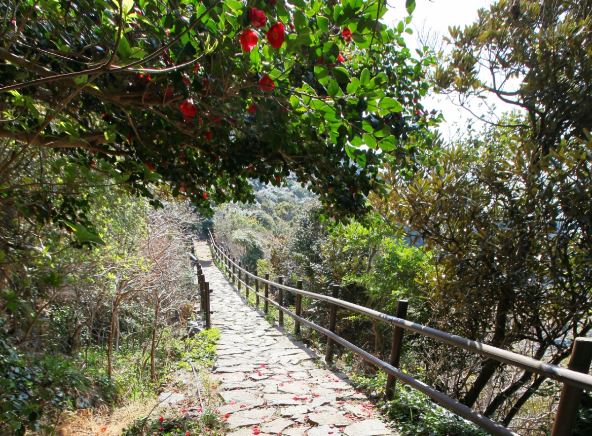 여수 거문도 수월산 일원의 동백꽃 핀 탐방로. / 사진 = 국가유산청 제공