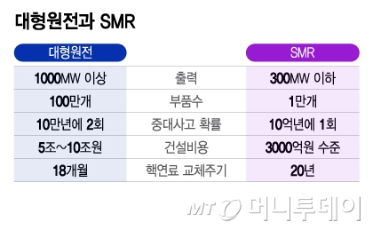 대형원전과 SMR/그래픽=이지혜
