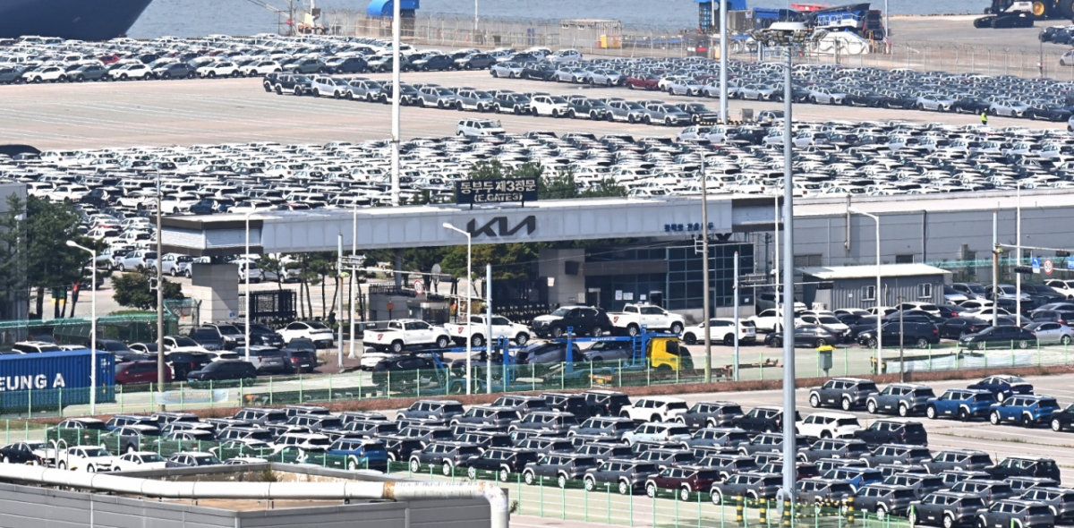 경기 평택시 포승읍 평택항 자동차 전용부두에 수출용 차량이 세워져 있는 모습./사진제공=뉴시스