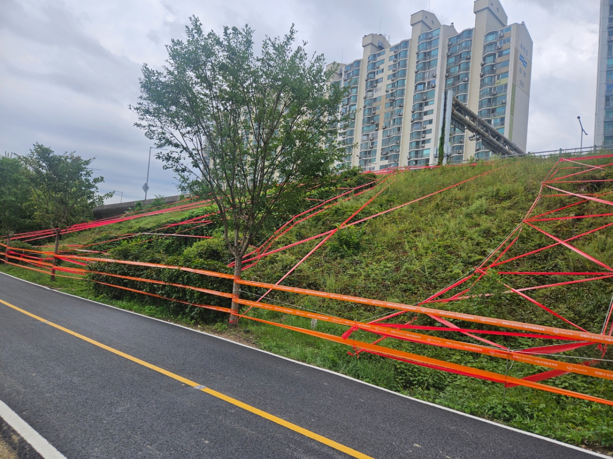 24일 오전 서울 용산구 이촌공원의 한 비탈면에 안전 차단선이 설치된 모습./사진=박상혁 기자.