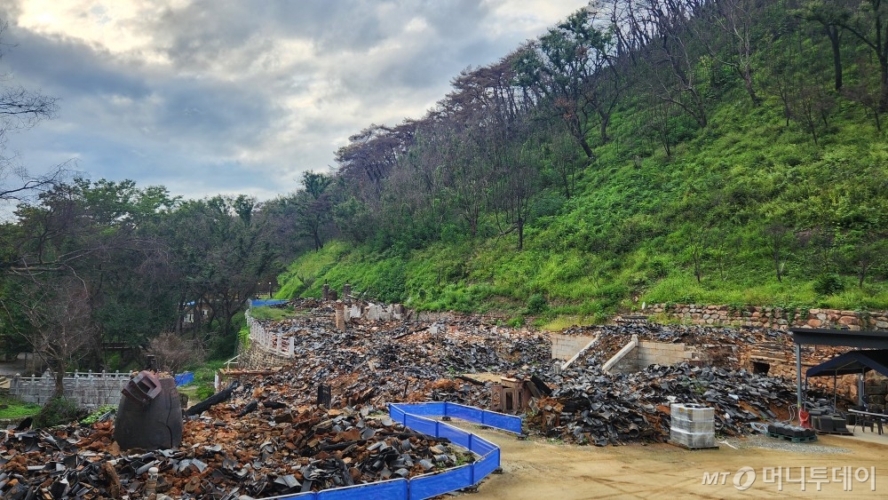 지난 9월18일 경북 의성군 고운사의 풍경. 3월 산불로 연수전과 가운루는 터만 남은 채 폭격 맞은 듯한 모습. 뒷편 숲에 타버린 나무들 아래 작은 키의 새 나무들이 자연적으로 자라나고 있다. /사진=김미루 기자.